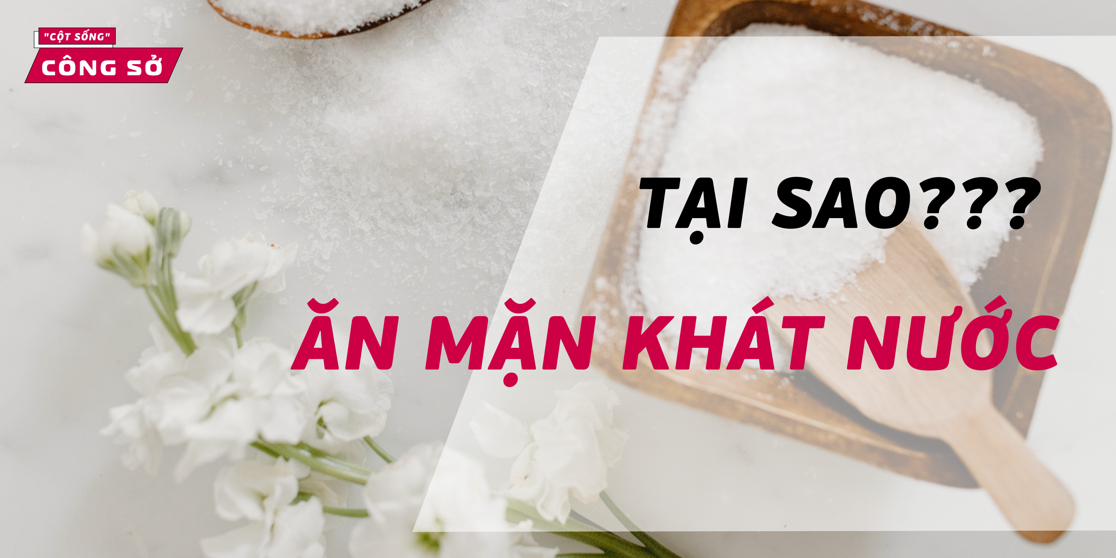 Tại sao khi ăn mặn lại khát nước?